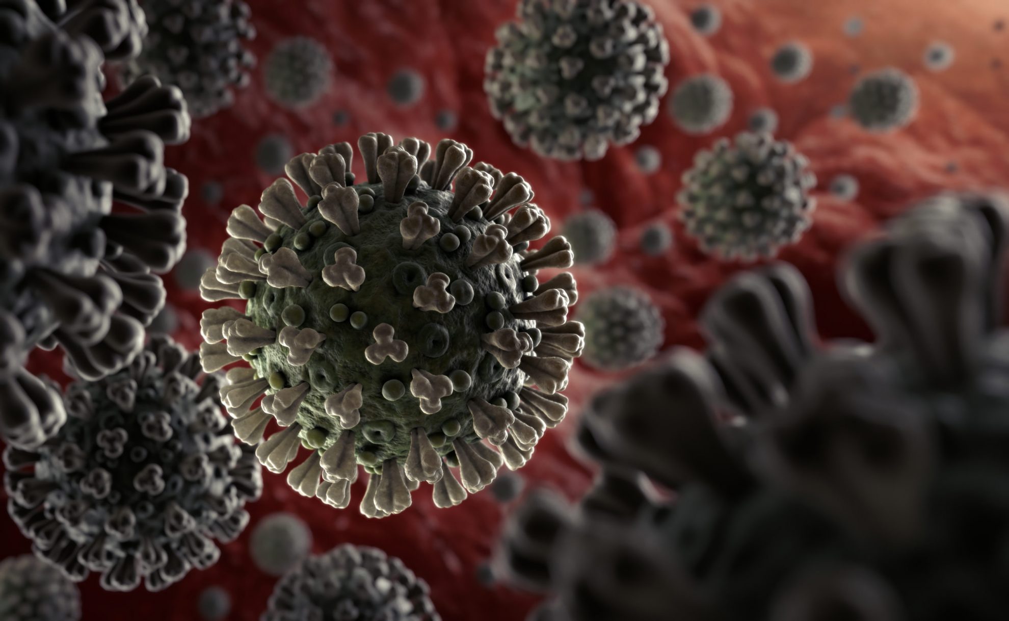 Đại dịch do virus Corona (SARS-nCoV-2) mới